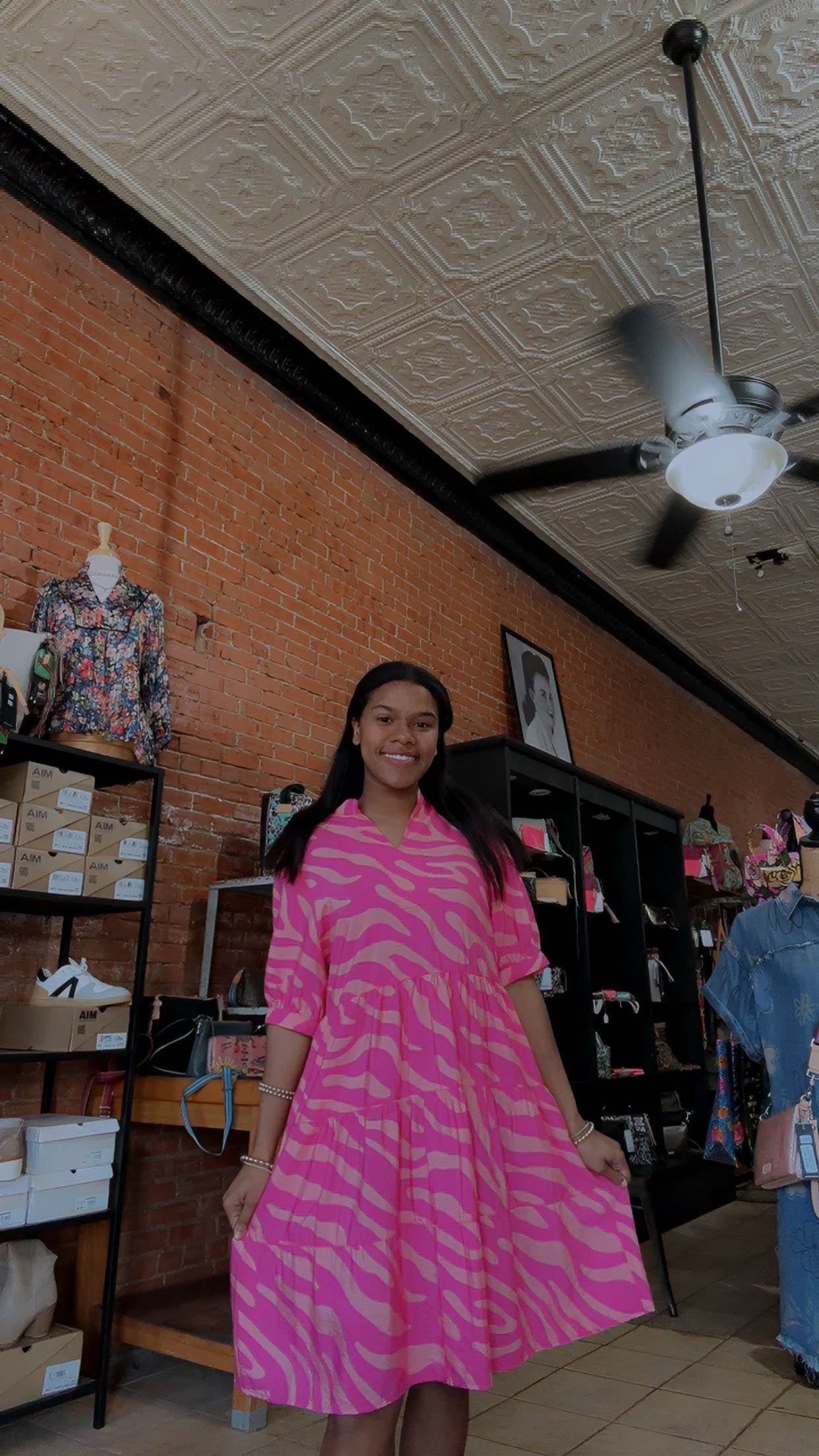 Zippy Zebra Dress