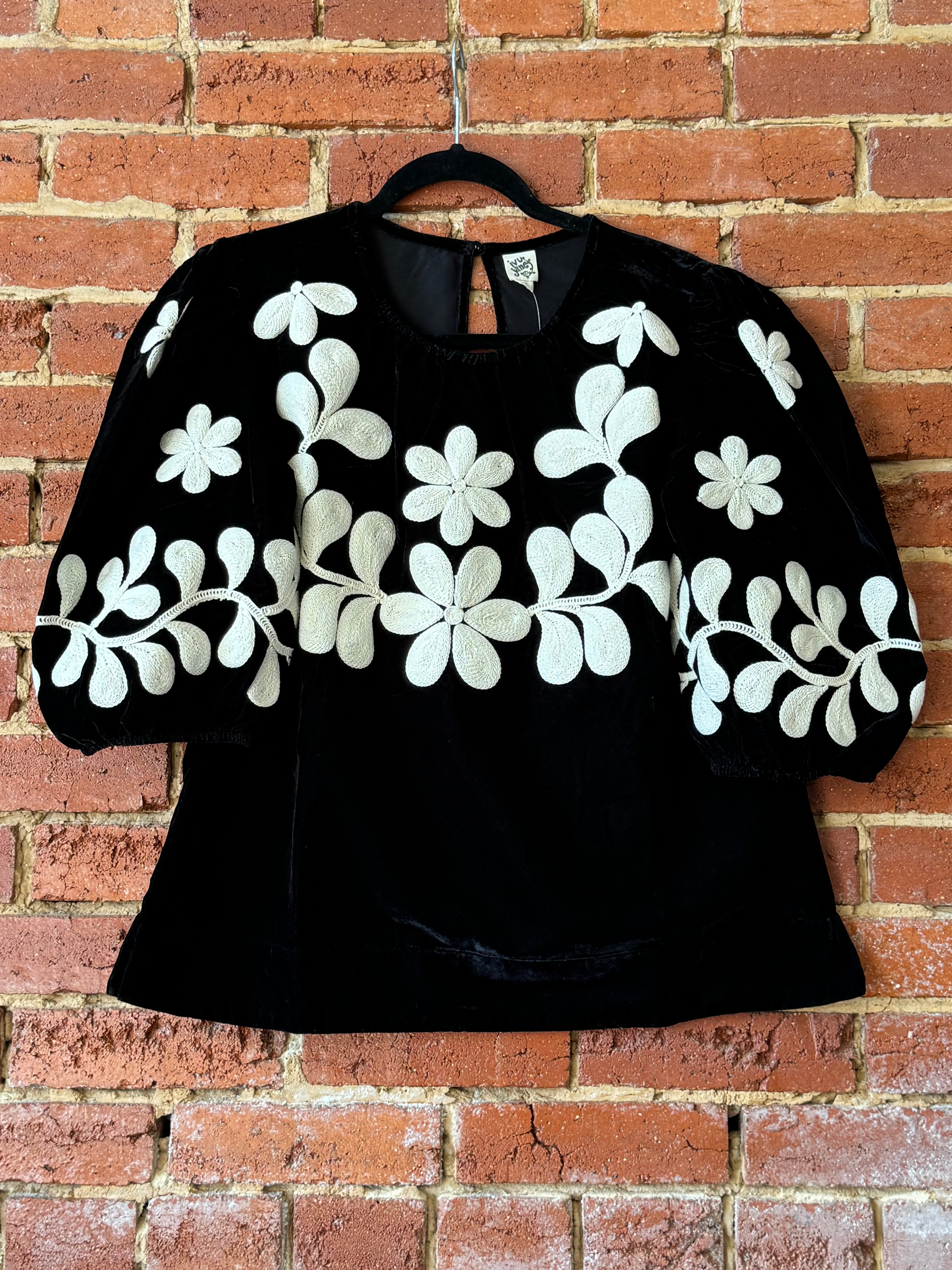 Ivy Jane Black Velvet Embroidered Top